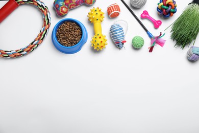 Photo of Different pet toys and feeding bowl on white background, top view. Space for text
