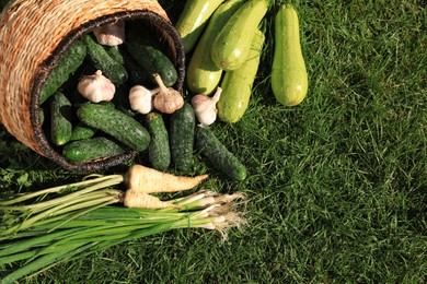 Photo of Scattered fresh ripe vegetables and wicker basket on green grass, top view. Space for text