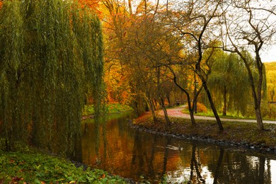 Photo of Beautiful park with yellowed trees and river