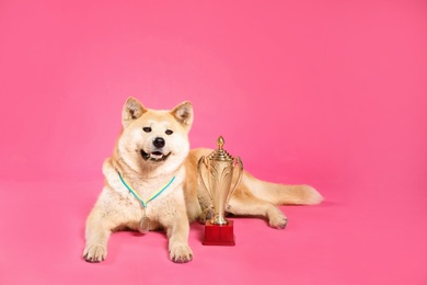 Photo of Adorable Akita Inu dog with champion trophy and medal on pink background. Space for text