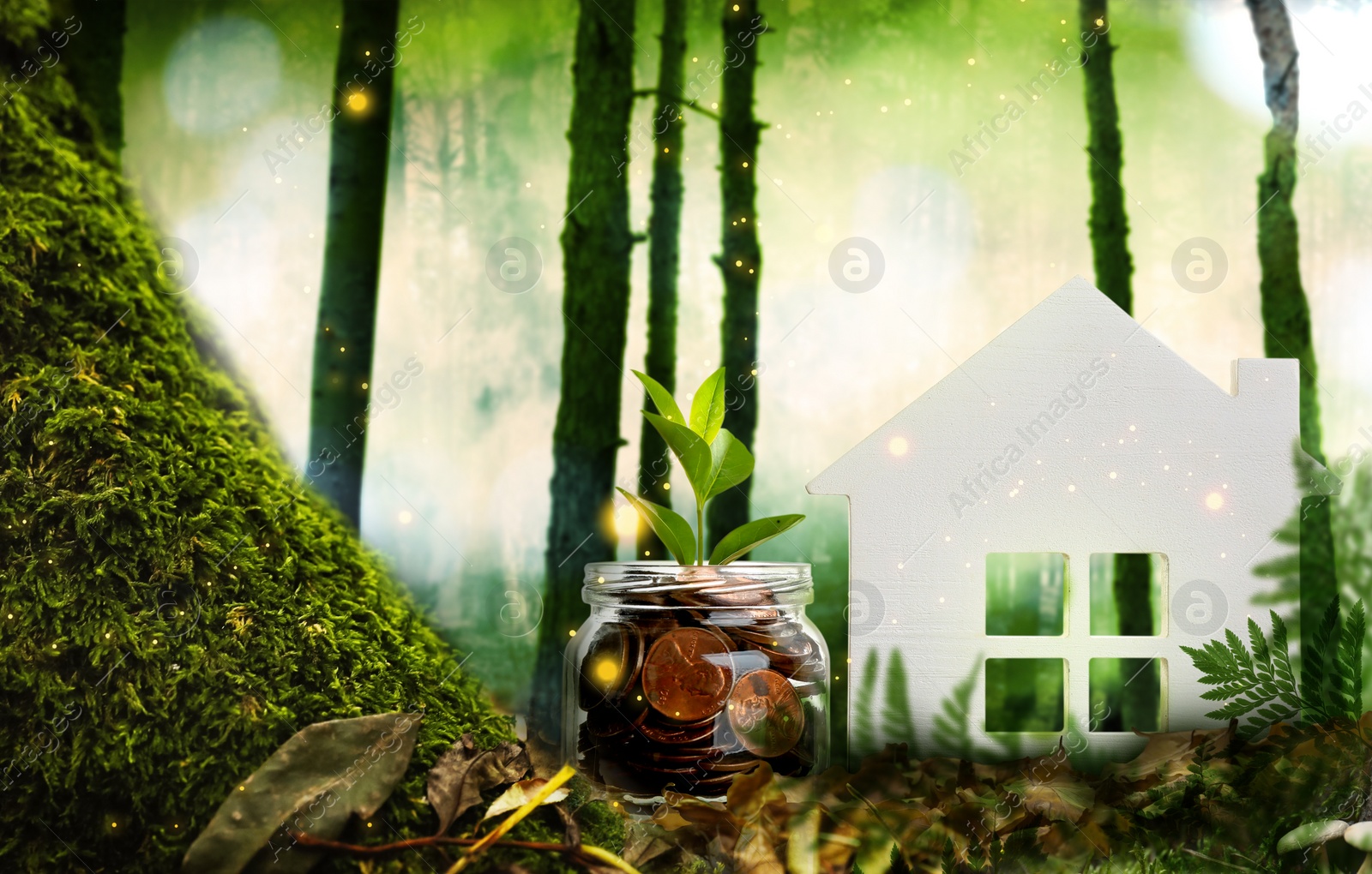 Image of Eco friendly home. House model and jar with coins in forest