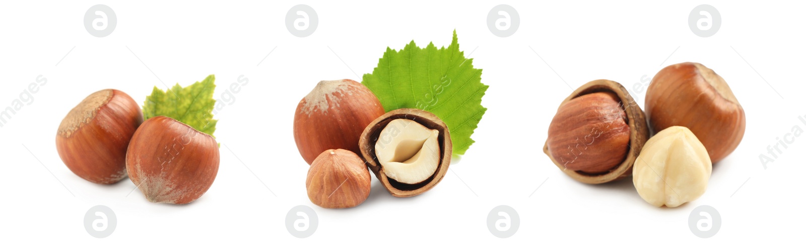 Image of Set with tasty hazelnuts on white background. Banner design