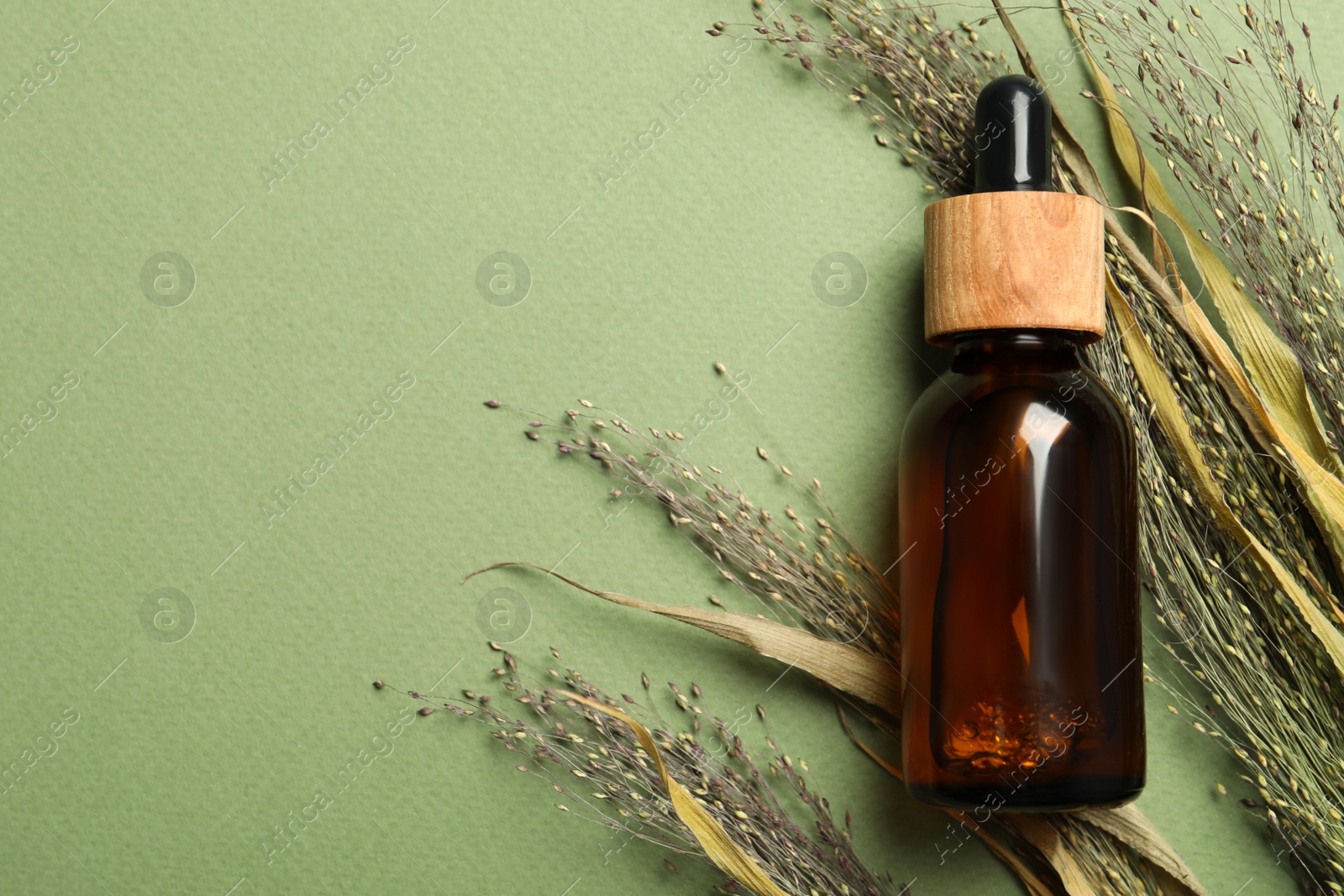 Photo of Bottle of face serum and dried flowers on light green background, flat lay. Space for text