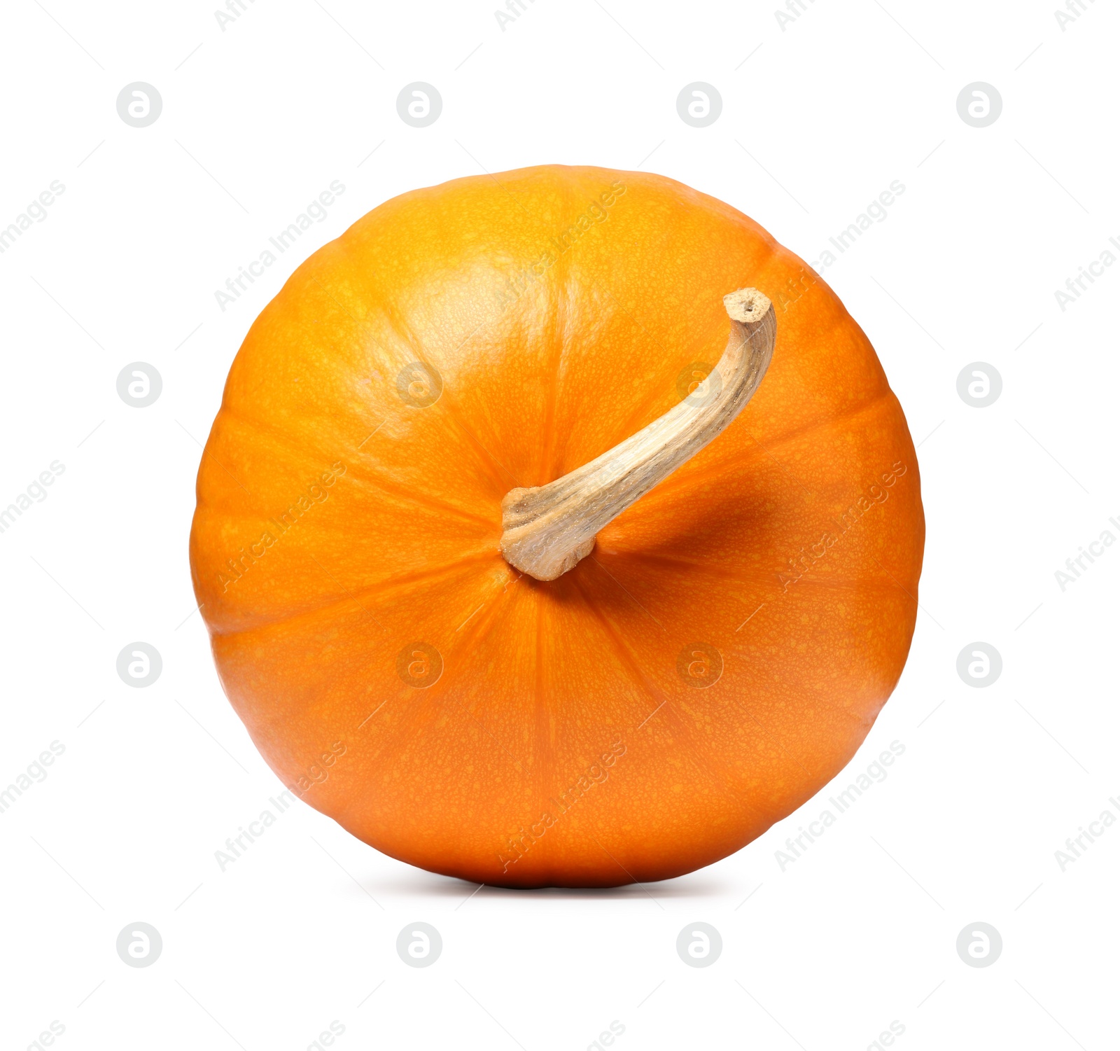 Photo of One fresh orange pumpkin isolated on white