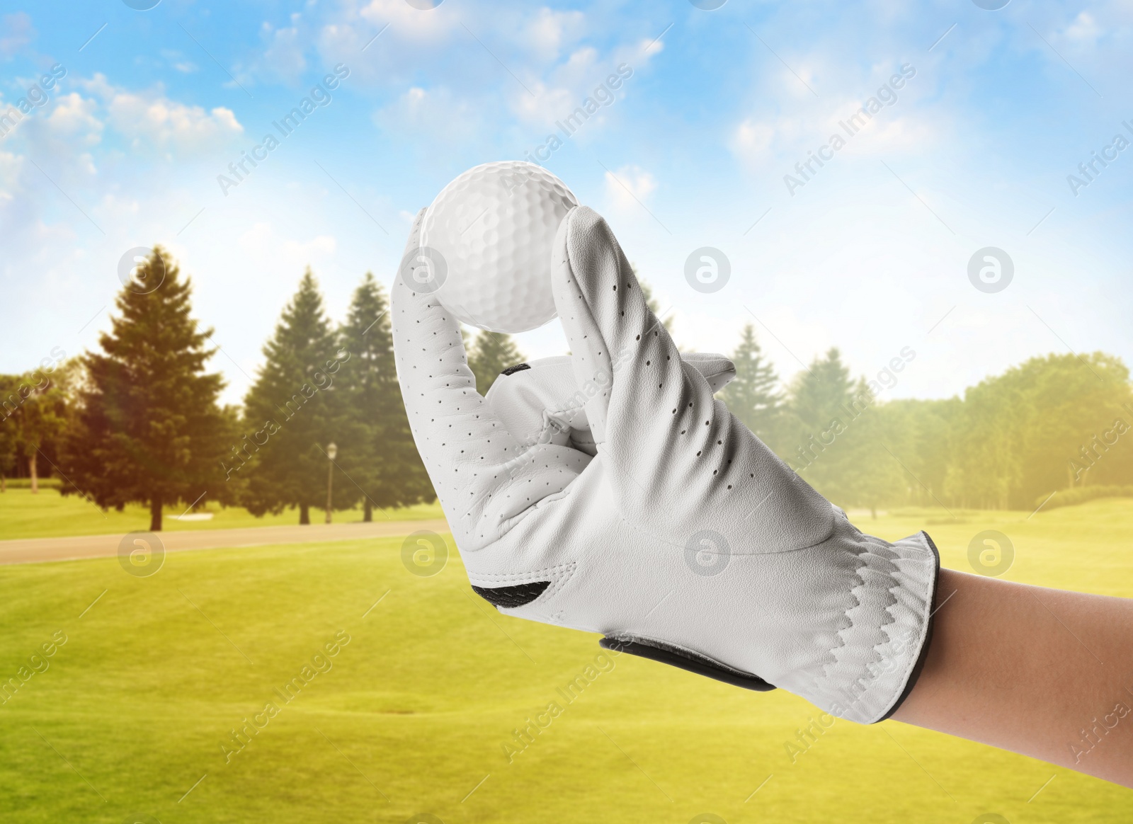 Image of Player holding golf ball in park on sunny day, closeup