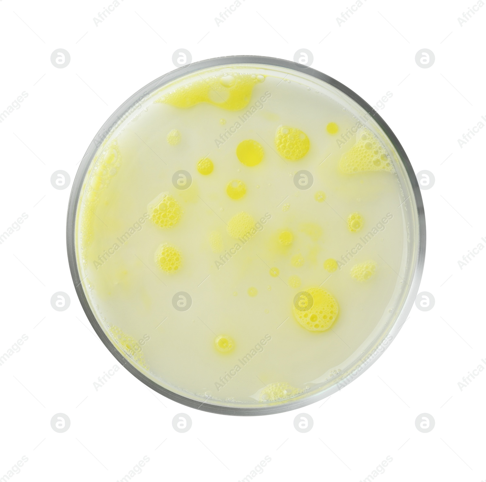 Photo of Petri dish with yellow liquid sample on white background, top view