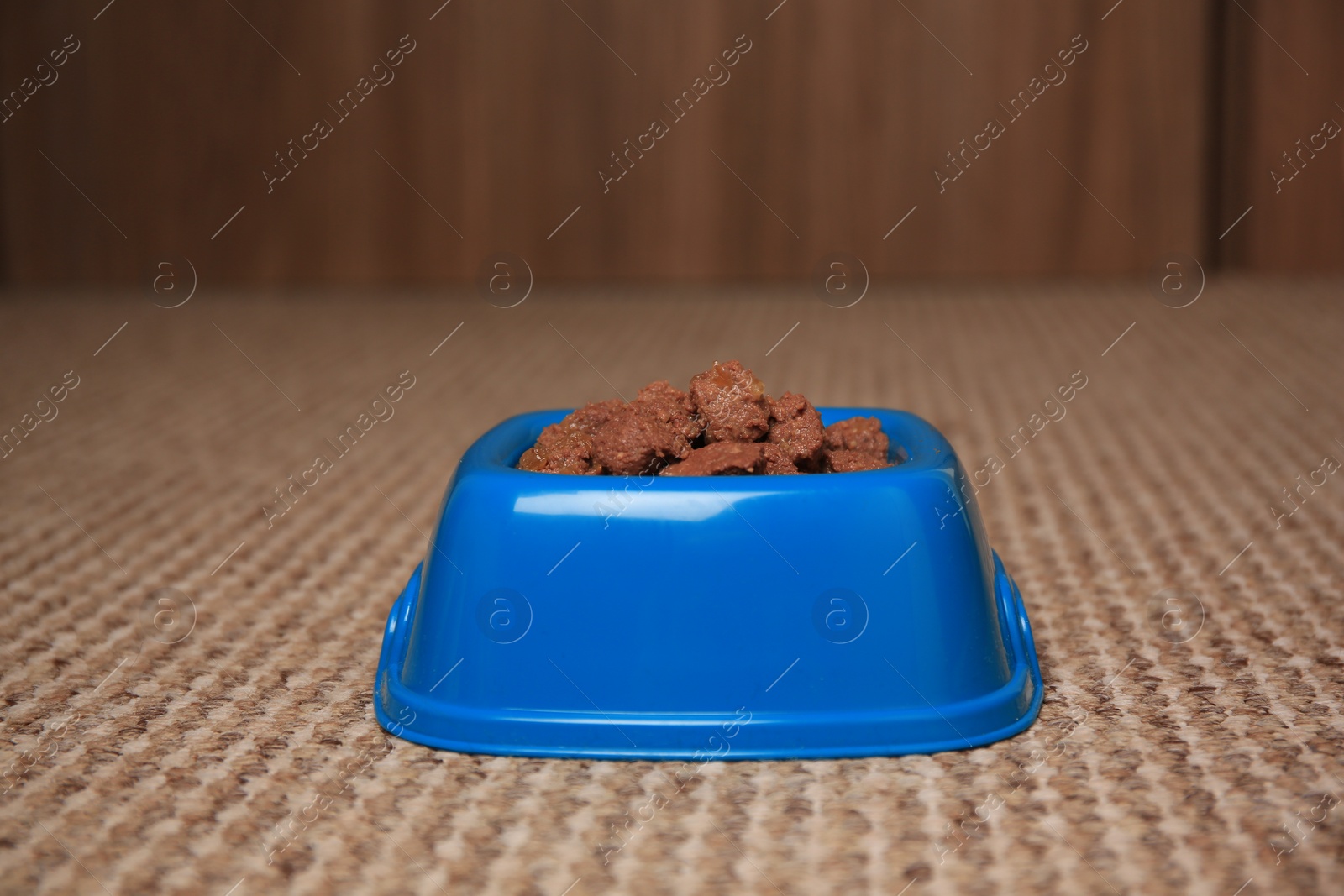 Photo of Wet pet food in feeding bowl on soft carpet indoors