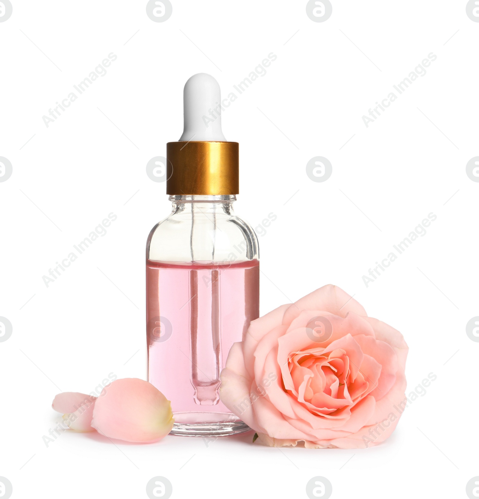 Photo of Bottle of rose essential oil and flower isolated on white