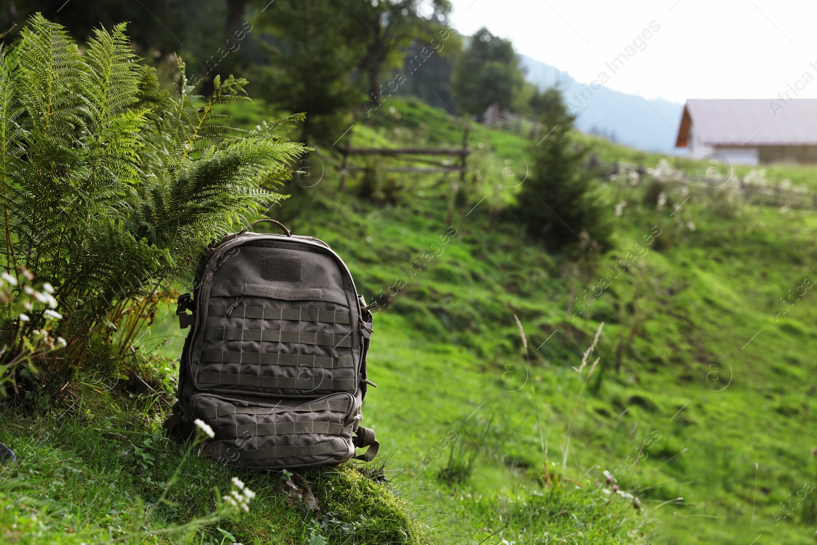 Photo of Backpack in green mountain valley. Summer camping