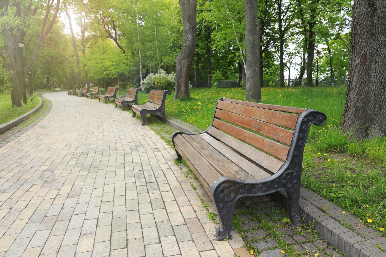 Photo of Beautiful view of city park with benches on spring day