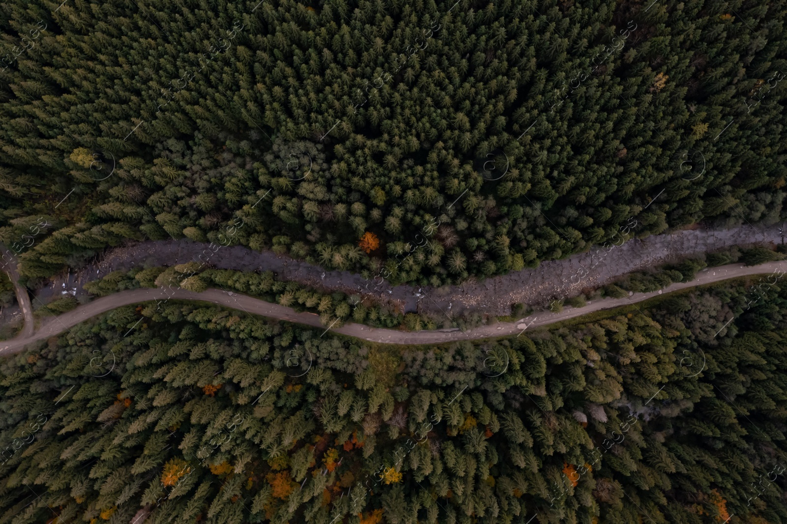 Image of Aerial view of beautiful forest, river and empty road on autumn day