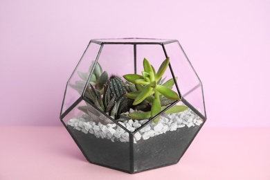 Photo of Glass florarium with different succulents on color background