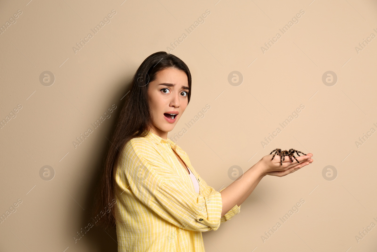 Photo of Scared young woman holding tarantula on beige background. Arachnophobia (fear of spiders)