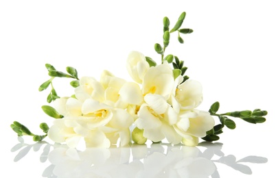 Photo of Bouquet of fresh freesia flowers isolated on white