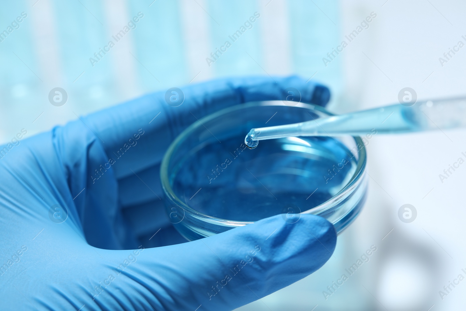 Photo of Scientist dripping liquid from pipette into petri dish on light background, closeup