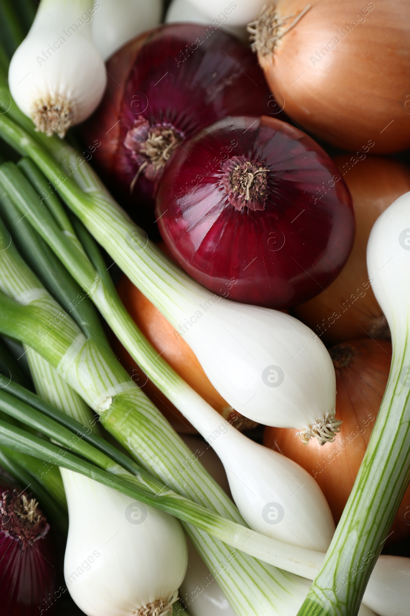 Photo of Different kinds of onions as background, closeup