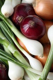 Photo of Different kinds of onions as background, closeup