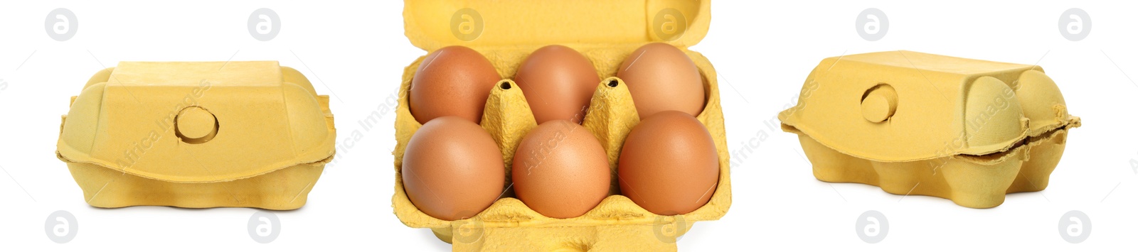 Image of Brown chicken eggs in egg carton isolated on white, set