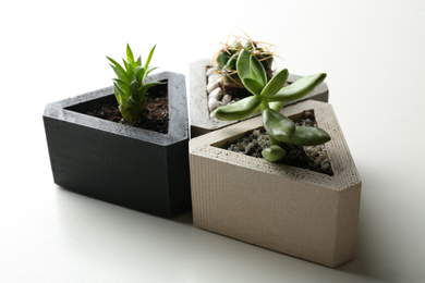 Succulent plants and cactus on white table, closeup