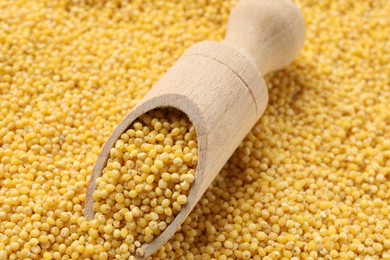 Photo of Wooden scoop with dry millet seeds, closeup