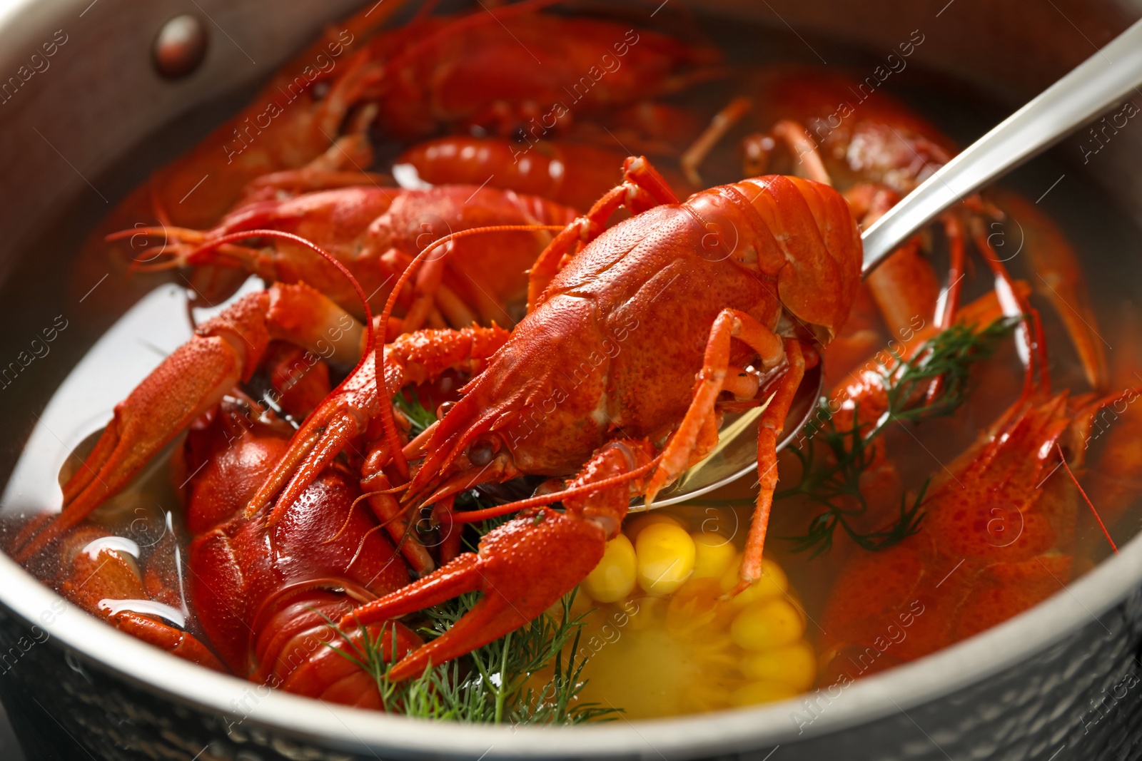 Photo of Spoon with fresh delicious crayfish over pot, closeup