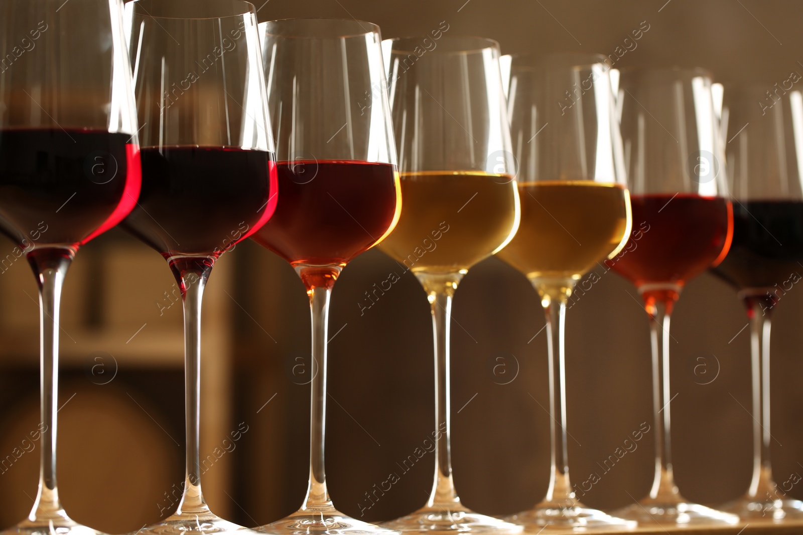 Photo of Glasses of different wines against blurred background. Expensive collection