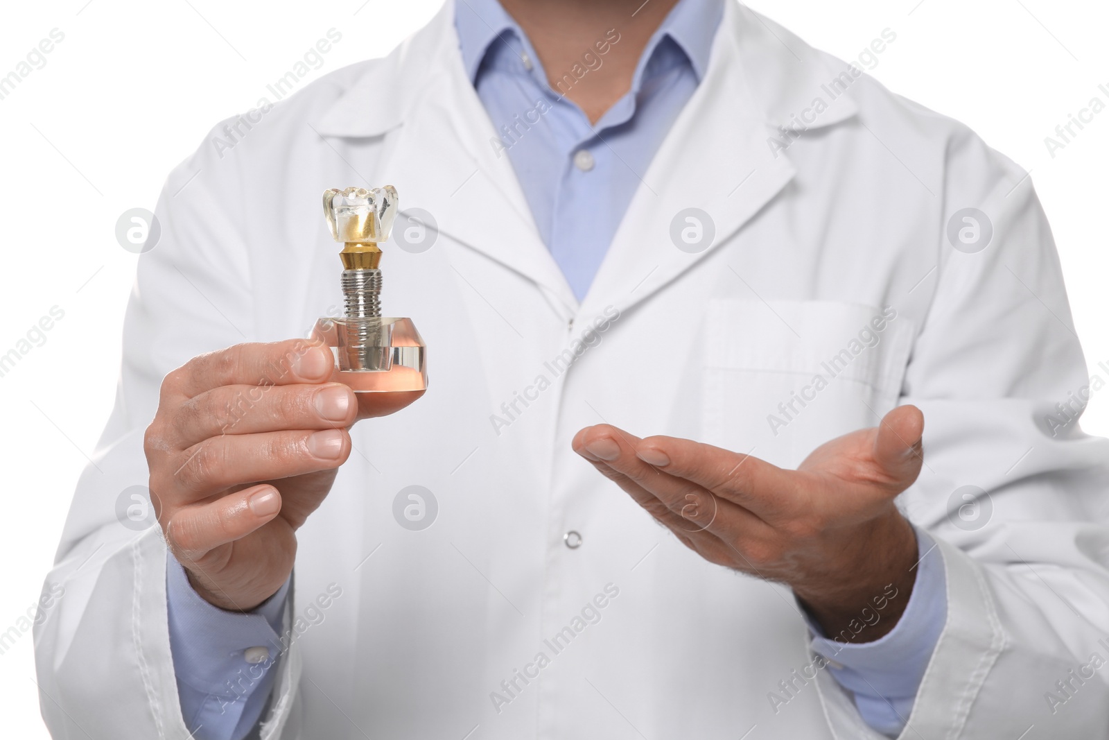 Photo of Dentist holding educational model of dental implant on white background, closeup