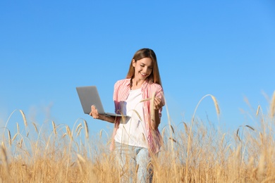 Agronomist with laptop in wheat field. Cereal grain crop