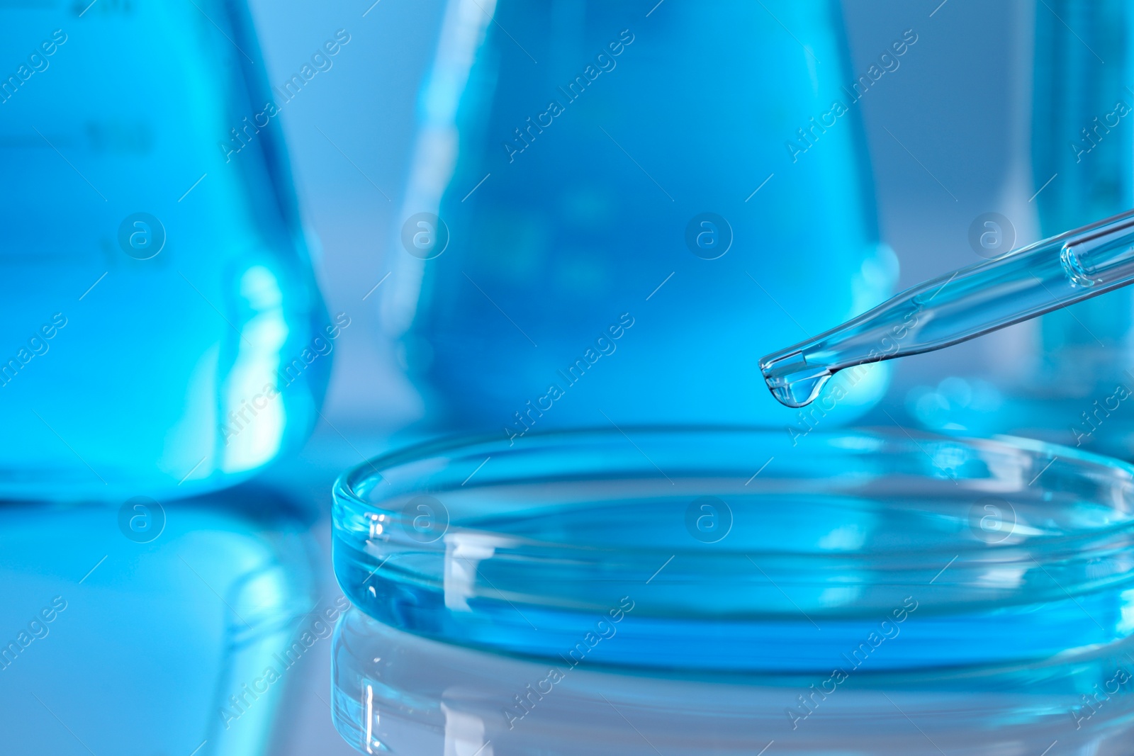 Photo of Dripping liquid from pipette into petri dish in laboratory, closeup