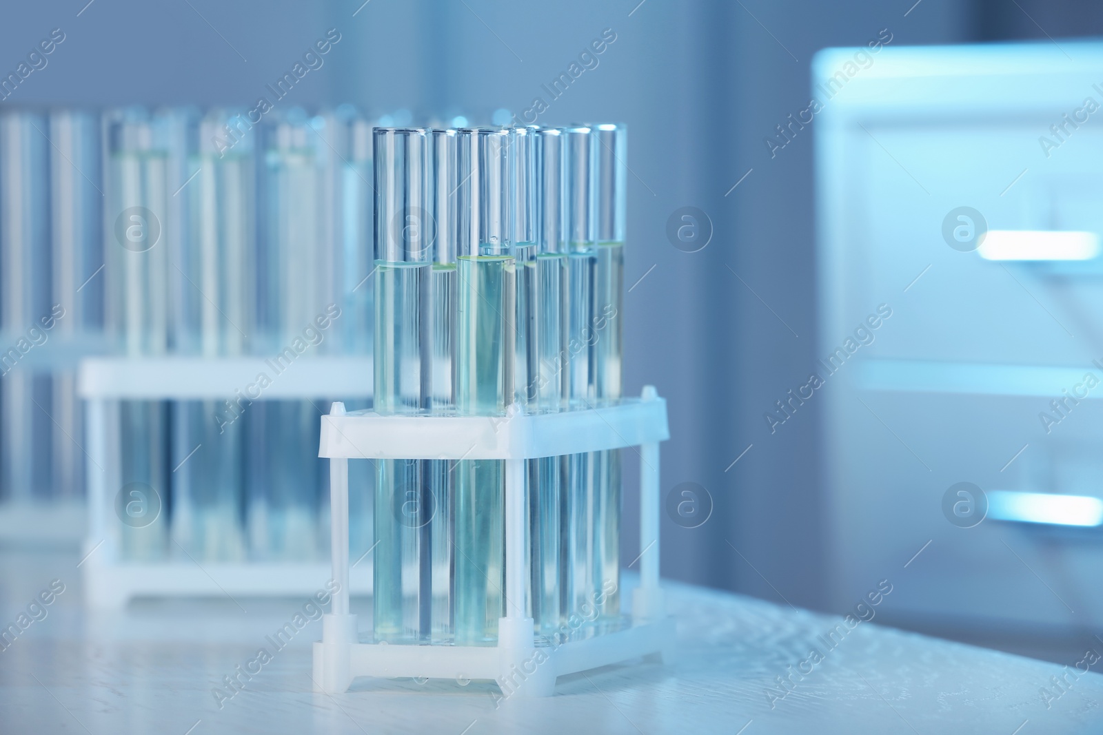 Photo of Holder with test tubes in laboratory. Chemical analysis