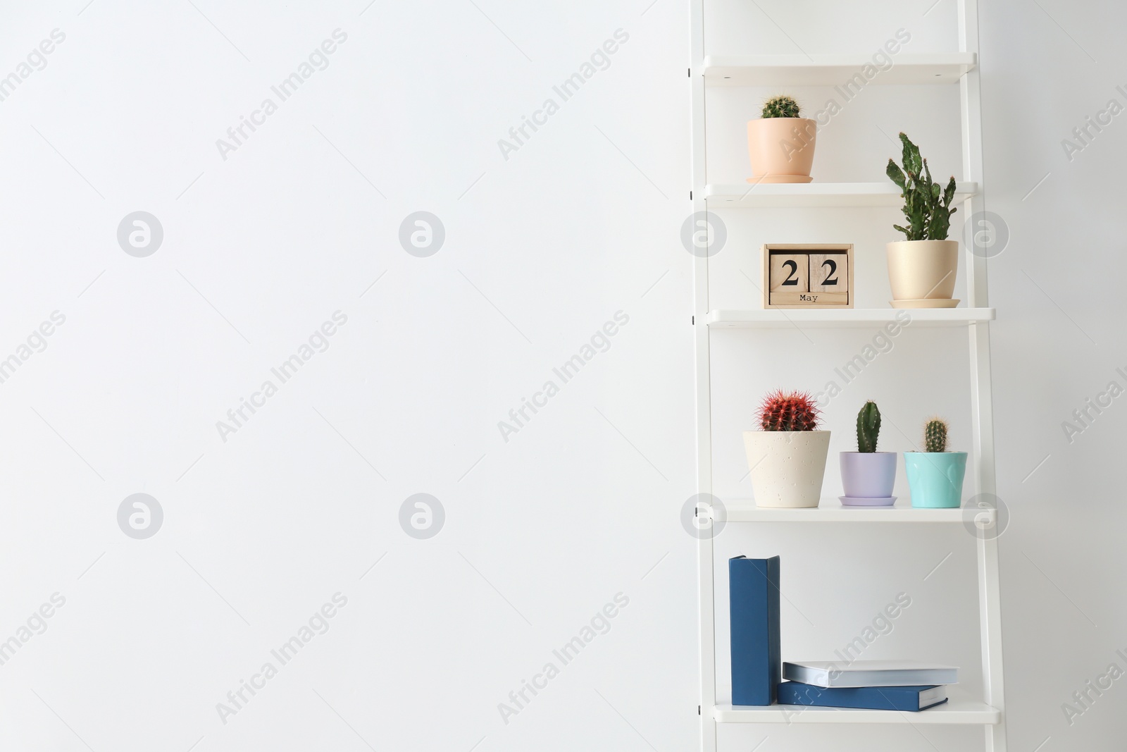 Photo of Beautiful cacti on shelving unit against light background