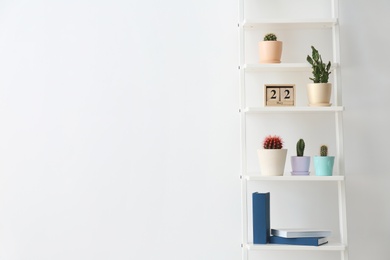 Beautiful cacti on shelving unit against light background