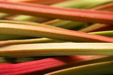 Many ripe rhubarb stalks as background, closeup