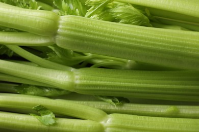 Photo of Many fresh green celery bunches as background, closeup
