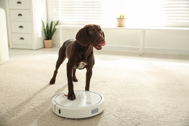 Photo of Modern robotic vacuum cleaner and German Shorthaired Pointer dog on floor indoors