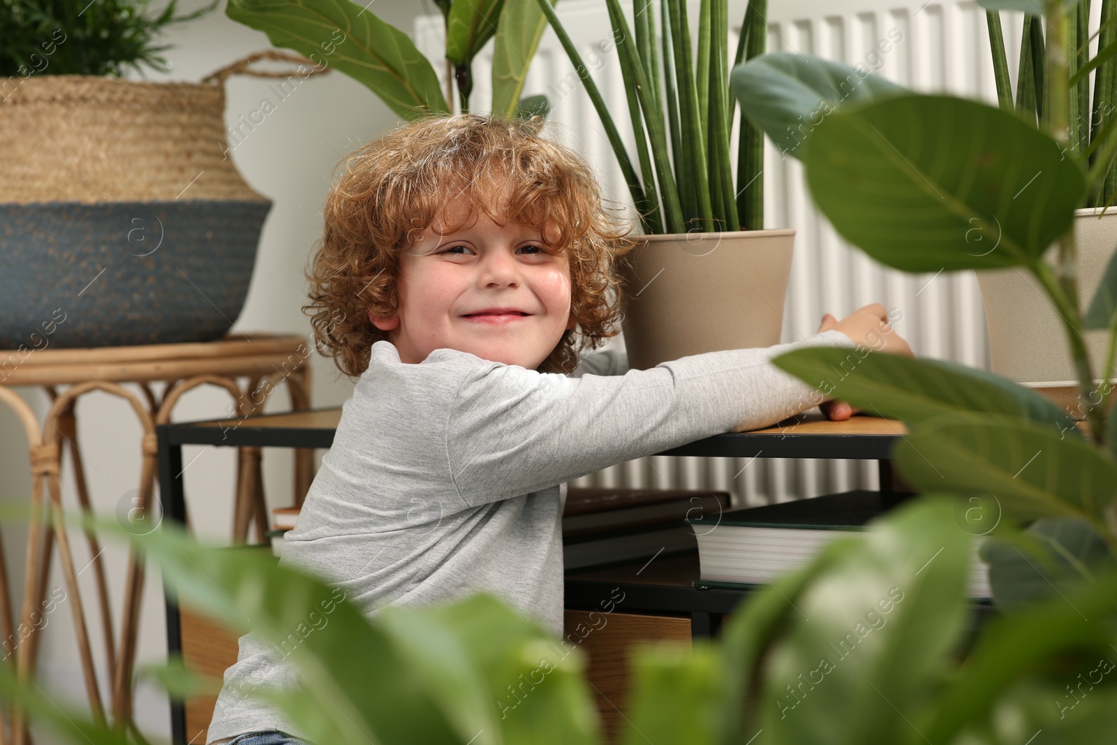 Photo of Cute little boy near beautiful green plants at home. House decor