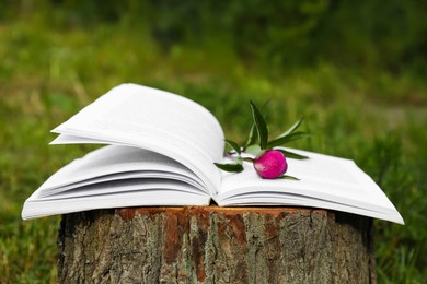 Photo of Open book with beautiful peony bud on tree stump outdoors