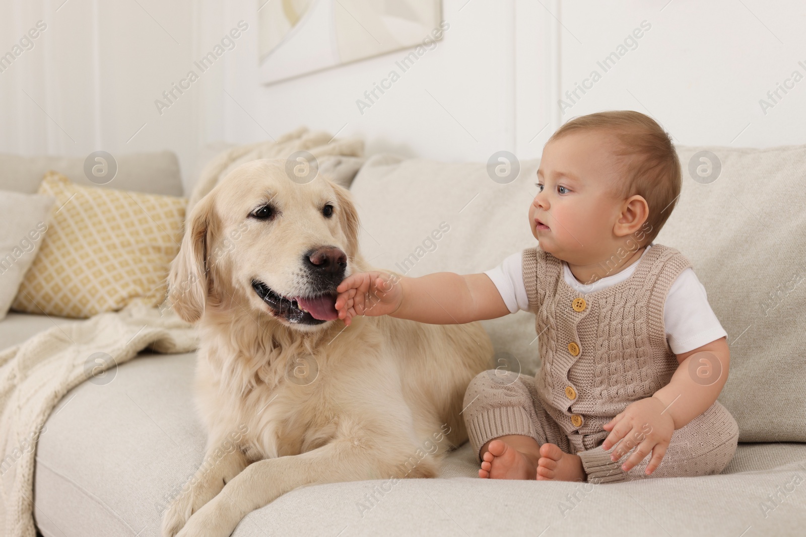 Photo of Cute little baby with adorable dog on sofa at home