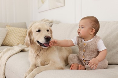 Photo of Cute little baby with adorable dog on sofa at home