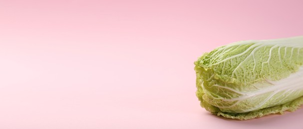 Image of Fresh ripe Chinese cabbage on pink background, space for text. Banner design