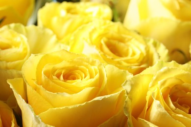 Photo of Beautiful roses with yellow petals as background, closeup