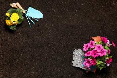 Flat lay composition with gardening equipment and flowers on soil, space for text