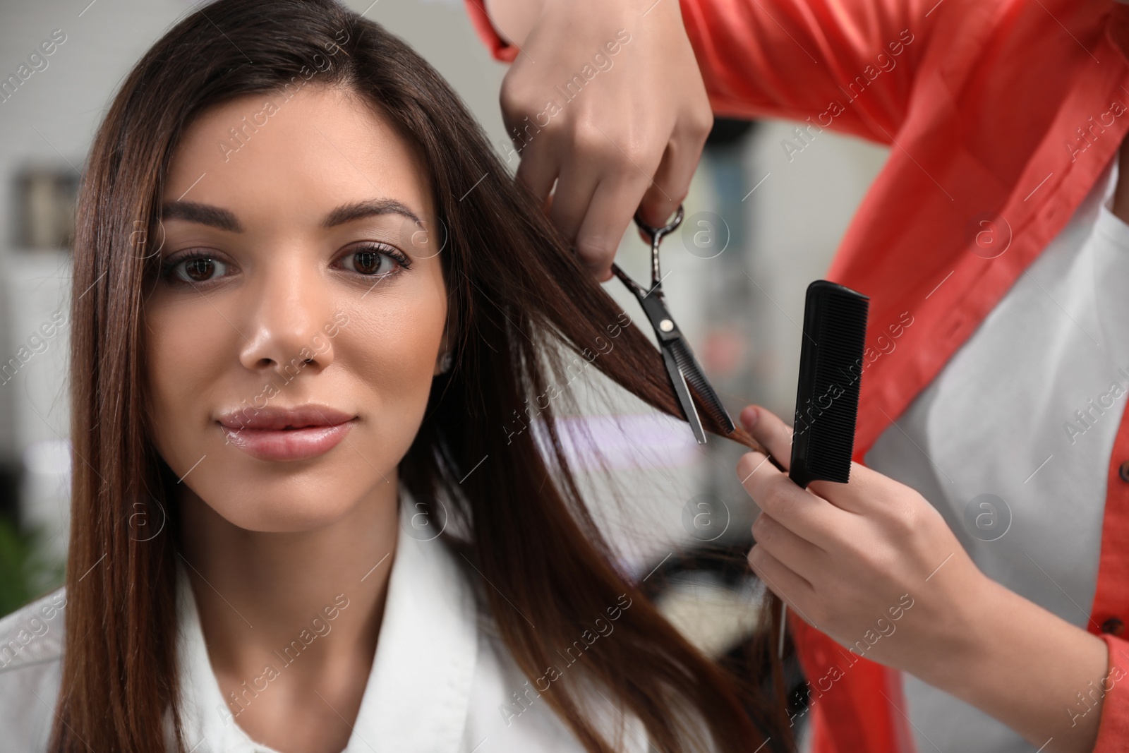 Photo of Hairdresser making stylish haircut with professional scissors in salon