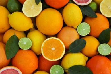 Photo of Many different whole and cut citrus fruits as background, top view
