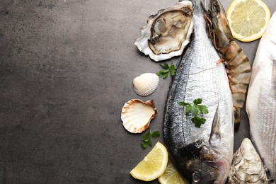 Flat lay composition with fresh raw dorado fish and different seafood, lemon on grey table. Space for text