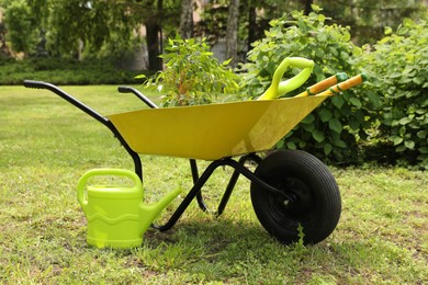 Photo of Wheelbarrow and other gardening tools in park on sunny day