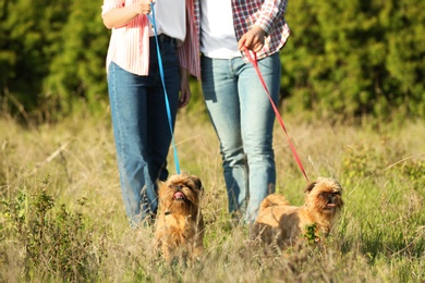 Photo of Owners walking their adorable Brussels Griffon dogs in park