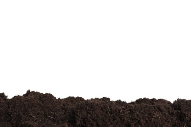 Photo of Layer of fresh soil isolated on white. Gardening time