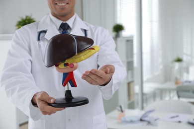 Photo of Doctor demonstrating model of liver in clinic, closeup. Space for text