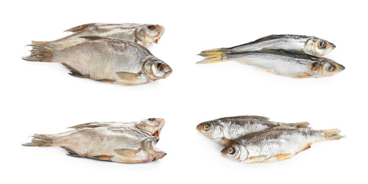 Image of Set of tasty dry fish on white background
